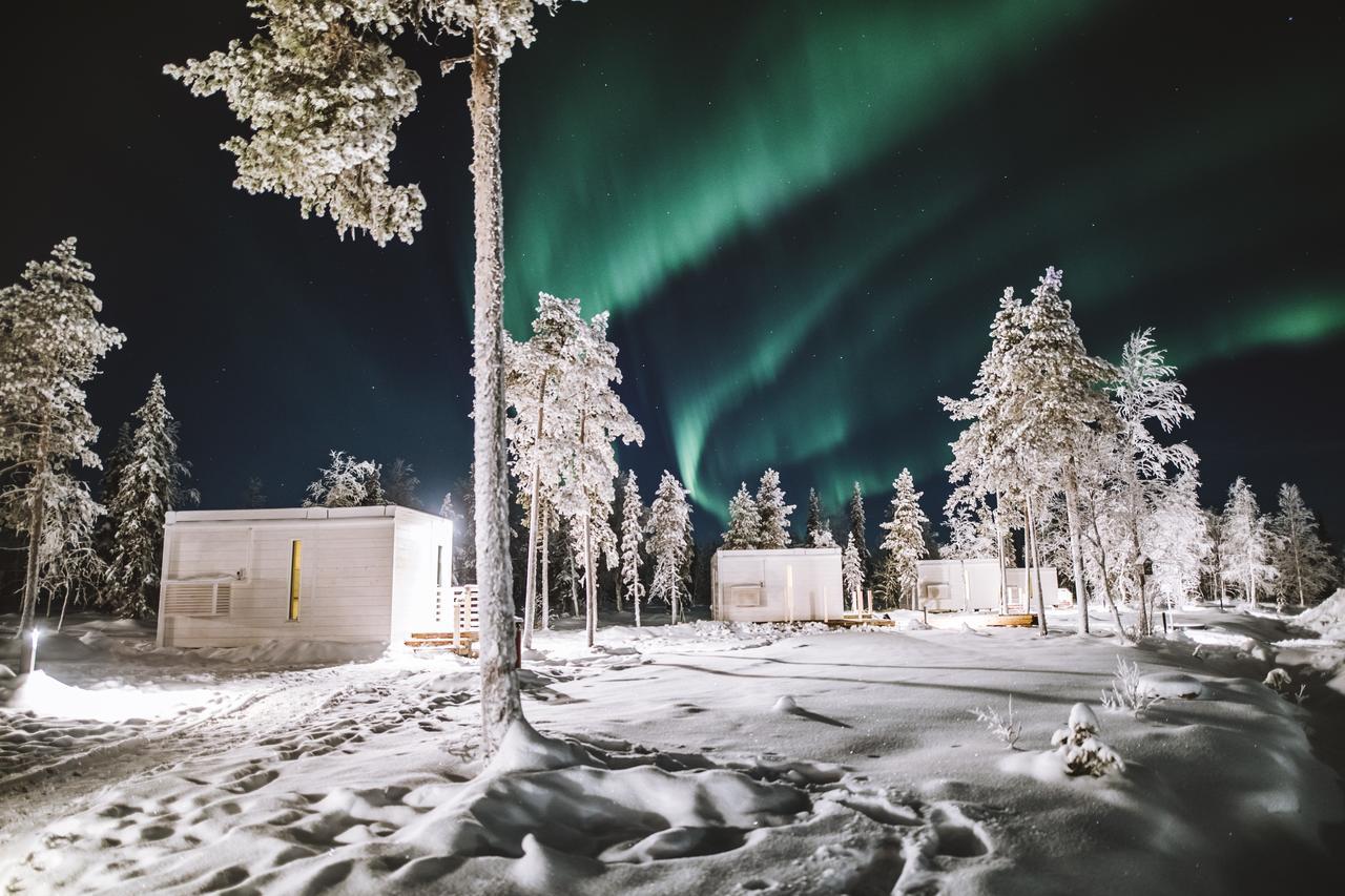 Northern Lights Ranch Levi Extérieur photo